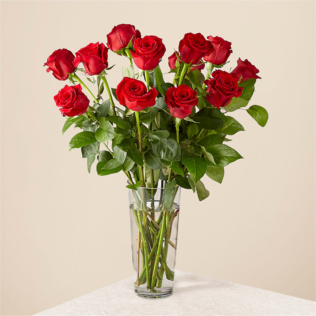 Long Stem Red Rose Bouquet – Wish Etc..., Brighton ON