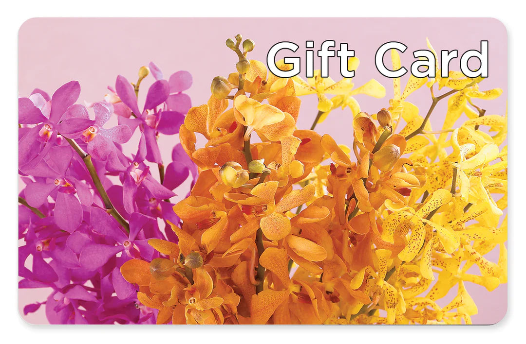 Gift Card – Wish Etc..., Brighton ON
