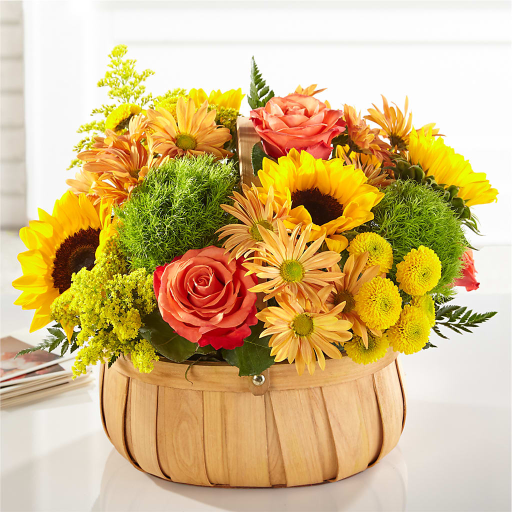 Harvest Sunflower Basket – Wish Etc..., Brighton ON