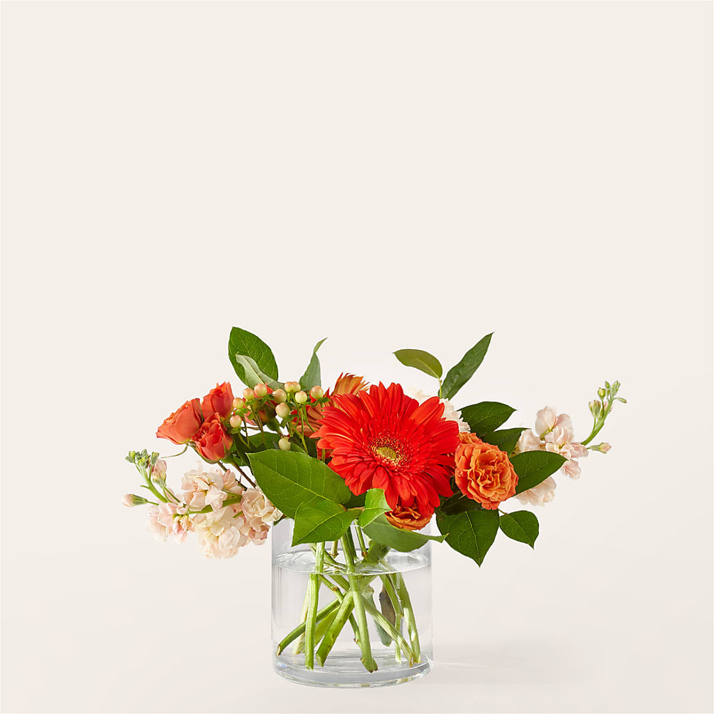 Paloma Please Bouquet – Wish Etc..., Brighton ON