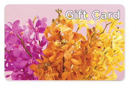 Gift Card –  Wish Etc..., Brighton ON