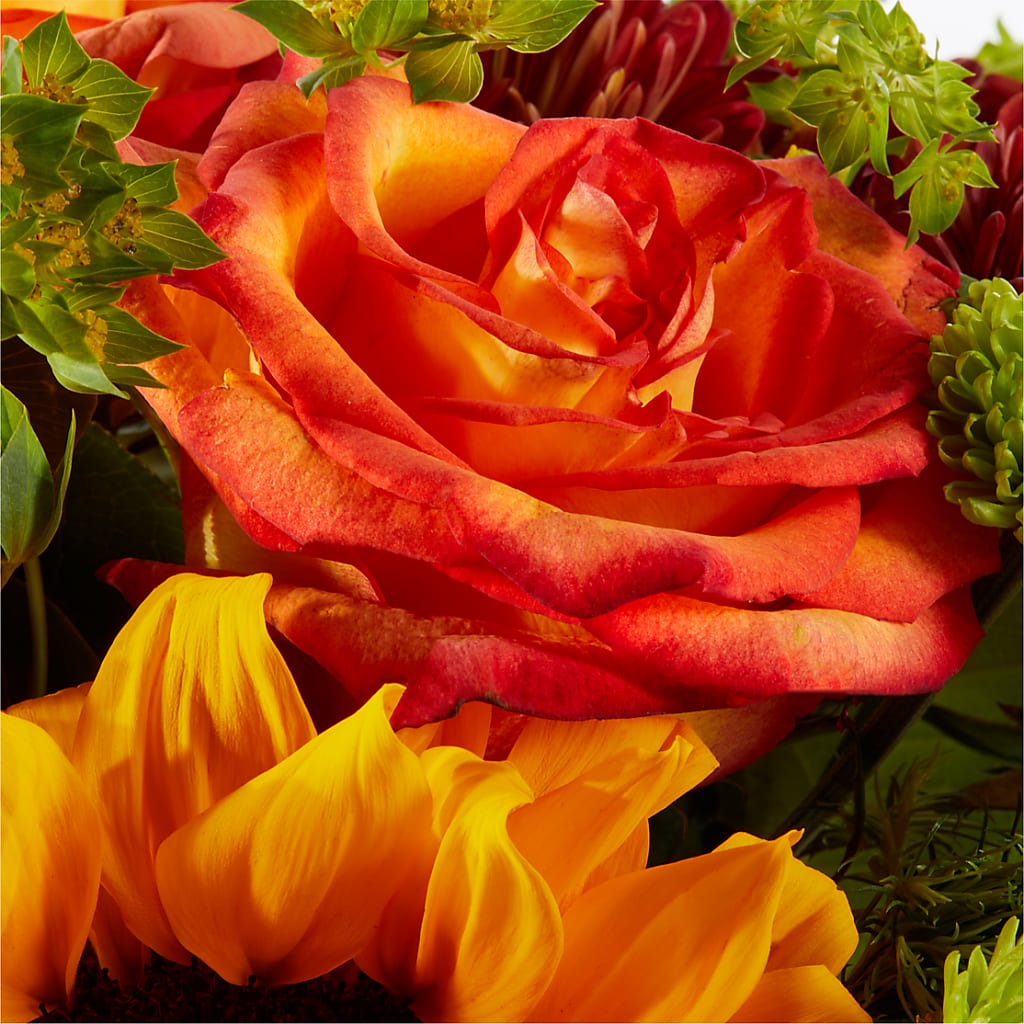 Harvest Festival Bouquet –  Wish Etc..., Brighton ON