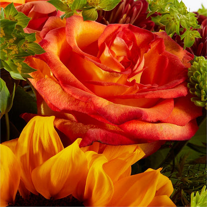 Harvest Festival Bouquet –  Wish Etc..., Brighton ON